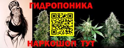 скорость Гусь-Хрустальный