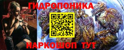спиды Гагарин