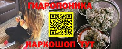 скорость Гусь-Хрустальный