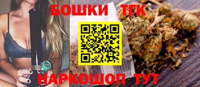 spice Гай
