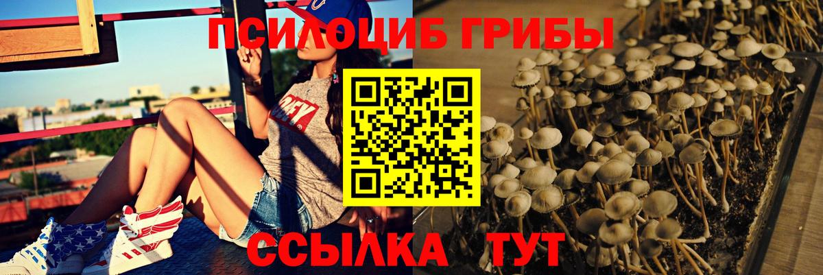 Галлюциногенные грибы MAGIC MUSHROOMS Кулебаки