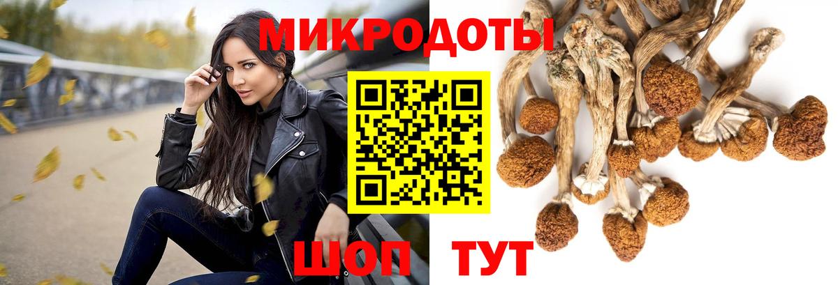 Кулебаки  Псилоцибиновые грибы MAGIC MUSHROOMS  Галлюциногенные грибы MAGIC MUSHROOMS  Вход с VPN 